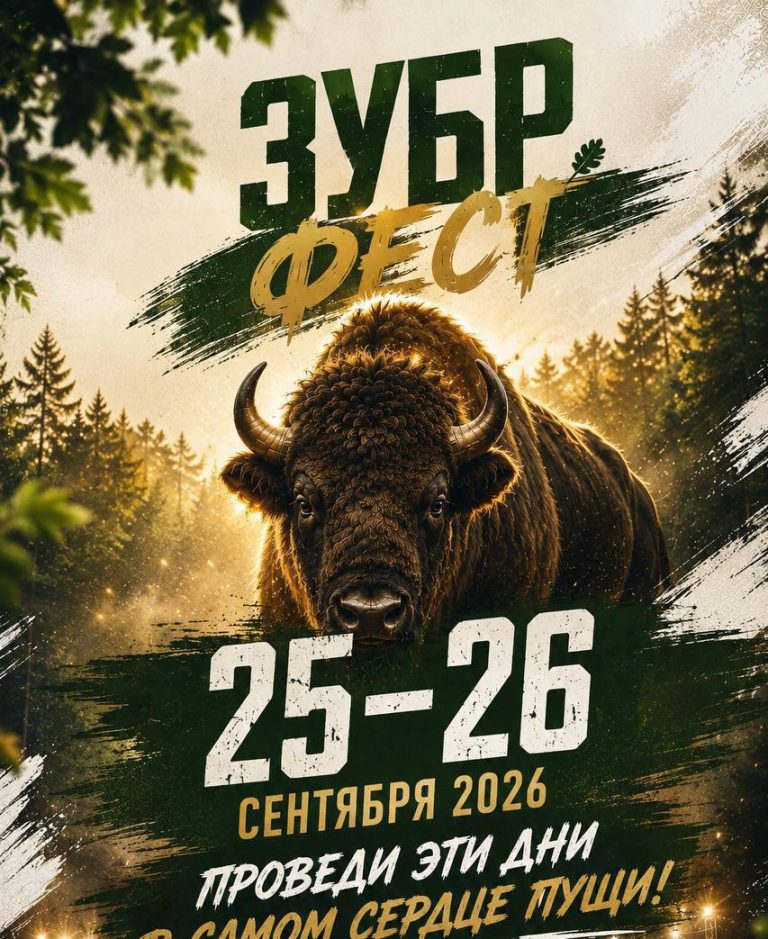 «Зубр-фест» приглашает в Беловежскую пущу: два дня музыки, активного отдыха и встречи с легендами эстрады